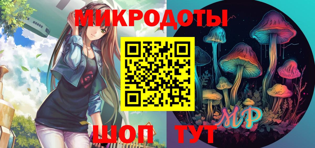 Галлюциногенные грибы Psilocybine cubensis Ефремов